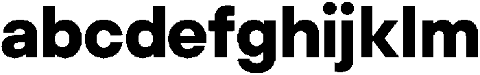 ZT Hakimi Extra Bold otf (700) FONT