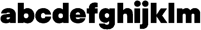 ZT Hakimi Variable Extra Black ttf (900) FONT