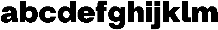 ZT Hoky Black otf (900) FONT