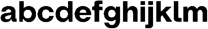 ZT Hoky Bold otf (700) FONT