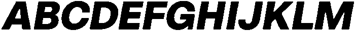 ZT Hoky Extra Bold Italic otf (700) Font UPPERCASE
