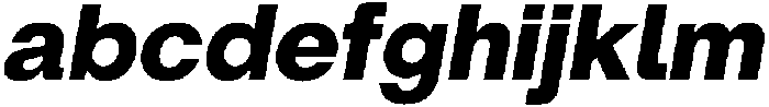 ZT Hoky Extra Bold Italic otf (700) FONT