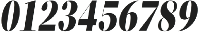ZT Neue Ralewe Black Semi Condensed Italic otf (900) Font OTHER CHARS