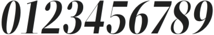 ZT Neue Ralewe Bold Semi Condensed Italic otf (700) Font OTHER CHARS