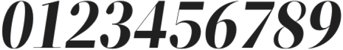 ZT Neue Ralewe Bold Semi Expanded Italic otf (700) Font OTHER CHARS