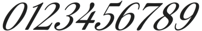 ZT Ôtez Thin Italic otf (100) Font OTHER CHARS