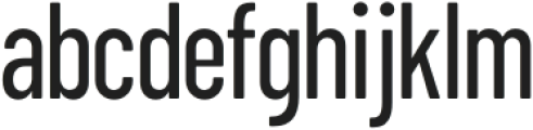 ZTFloogn-Regular otf (400) Font LOWERCASE
