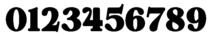 ZT Chintzy Heavy Font OTHER CHARS
