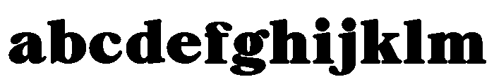 ZT Chintzy Heavy FONT