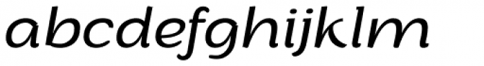 ZT Arturo Light Italic Font LOWERCASE