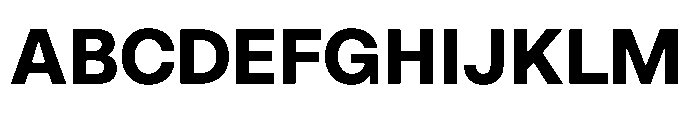 ZT Hoky Bold Font UPPERCASE