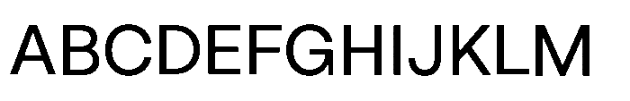 ZT Hoky Variable Thin Condensed Roman Font UPPERCASE