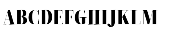 ZT Neue Ralewe Black Font
