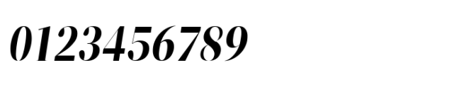 ZT Neue Ralewe Bold Italic Font OTHER CHARS