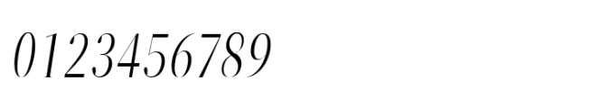 ZT Neue Ralewe Light Condensed Italic Font OTHER CHARS