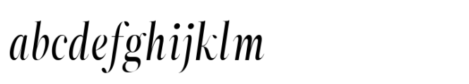 ZT Neue Ralewe Medium Condensed Italic FONT