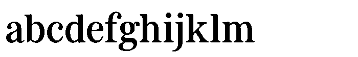 ZT Otez Light FONT