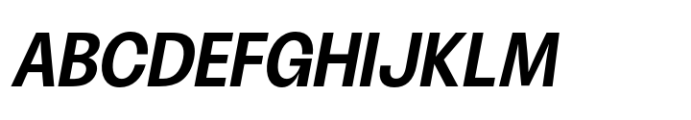 ZT Talk Bold Italic Font
