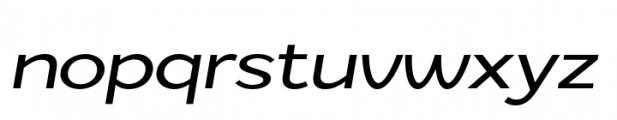 Zt Nezto Italic Font LOWERCASE