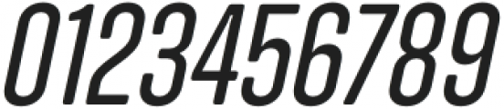 Zuume Soft Italic otf (400) Font OTHER CHARS
