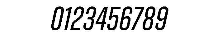 Zuume RegularItalic Font OTHER CHARS