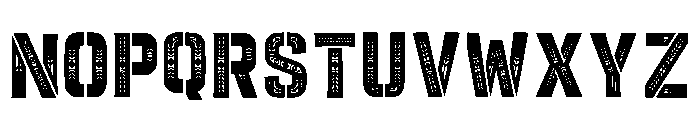 Zynia Regular Font LOWERCASE