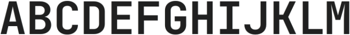 ZZ JetBrains Mono Bold otf (700) Font UPPERCASE