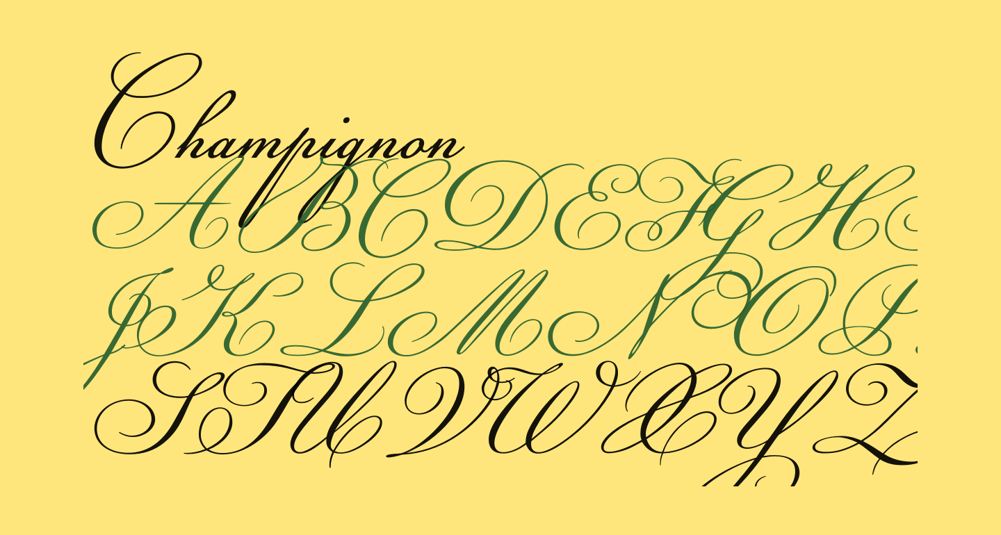 Champignon free Font - What Font Is