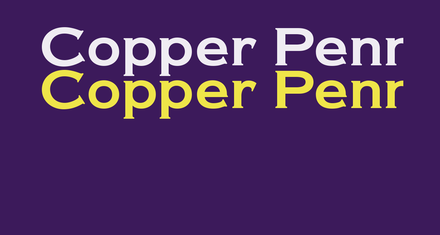 List 5 examples of common desktop publishing documents? image