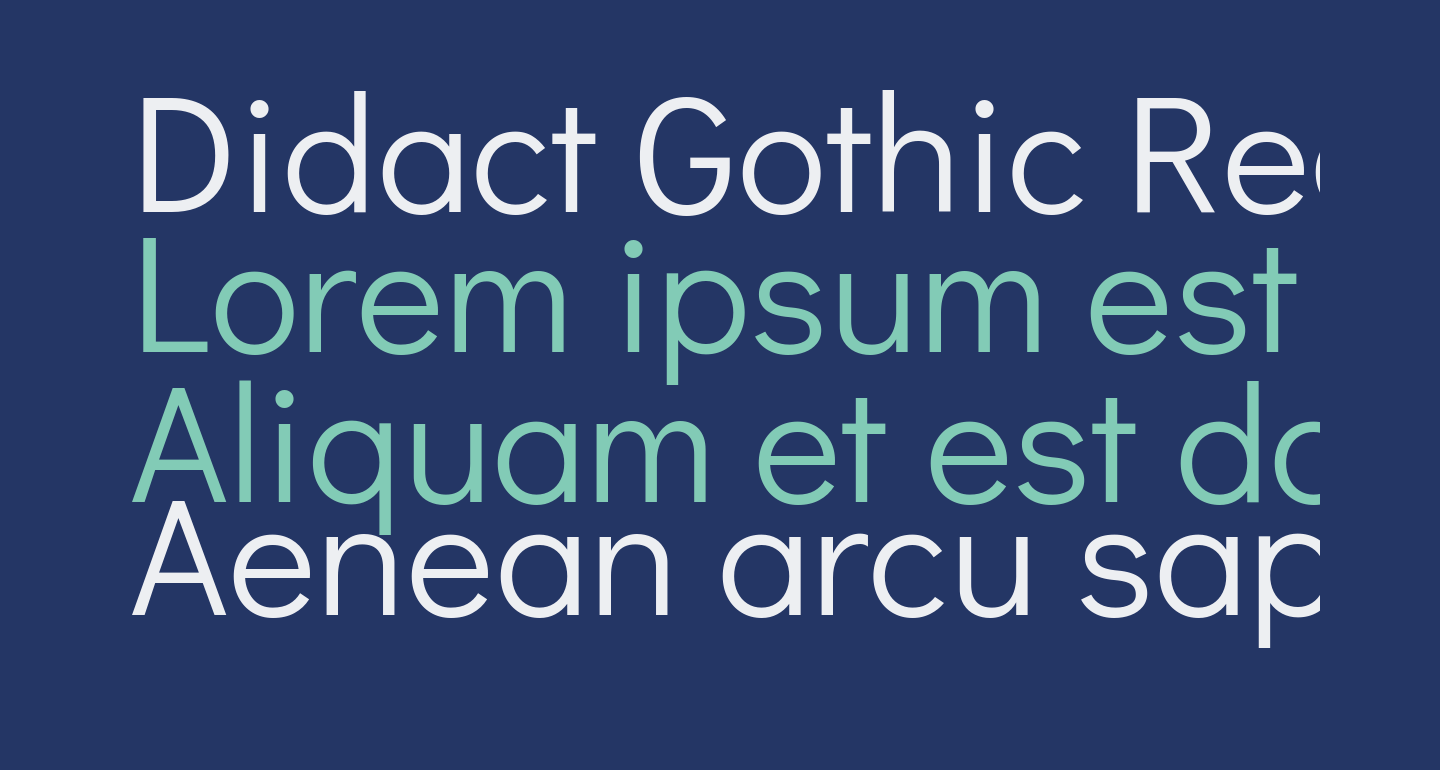 Didact Gothic Regular free Font - What Font Is