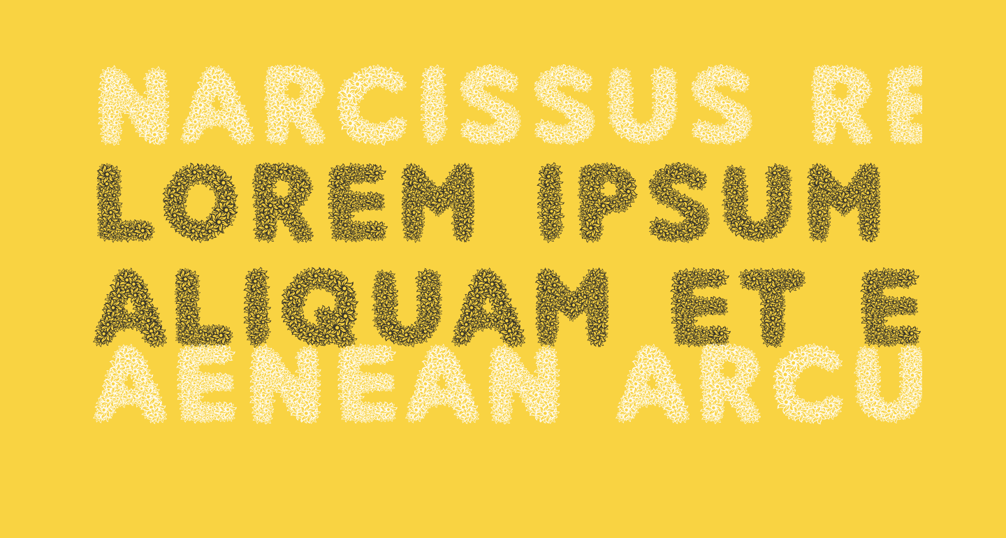 Narcissus Regular free Font What Font Is