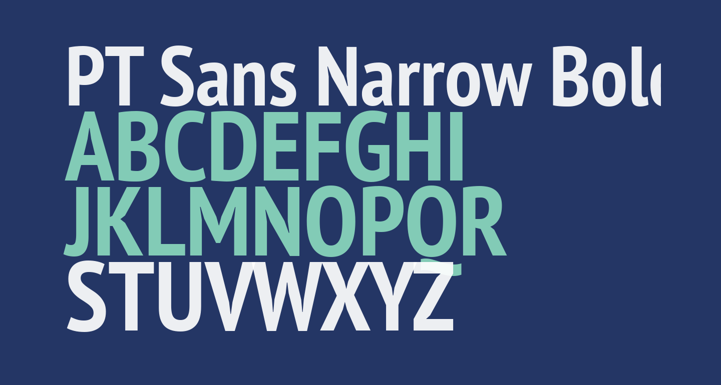 PT Sans Narrow Bold free Font - What Font Is