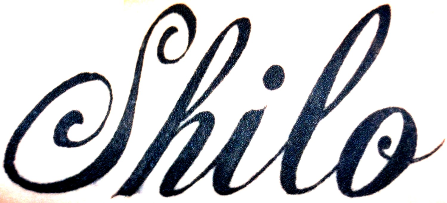 Any idea of what this font is called? Font sample to identify the typeface on WhatFontIs