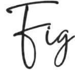 fig the logo