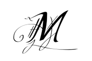 Just this letter Font sample to identify the typeface on WhatFontIs