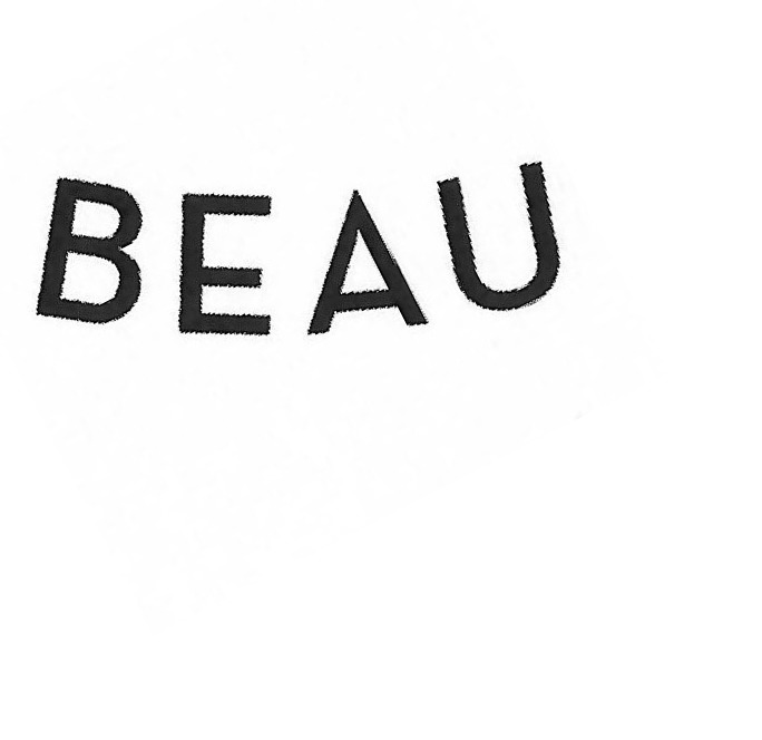 FONT USED FOR BEAU
