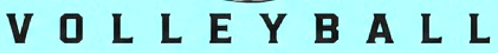 VOLLEYBALL Font sample to identify the typeface on WhatFontIs