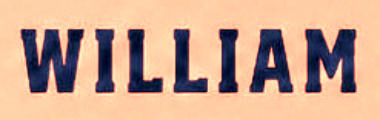 WILLIAM Font sample to identify the typeface on WhatFontIs