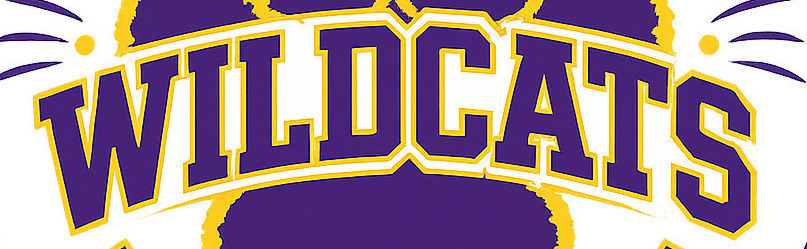 WILDCATS Font sample to identify the typeface on WhatFontIs