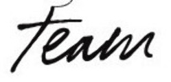 Team Font sample to identify the typeface on WhatFontIs