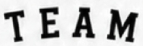 TEAM Font sample to identify the typeface on WhatFontIs