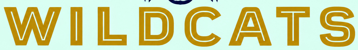 WILD CATS Font sample to identify the typeface on WhatFontIs