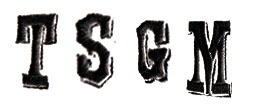 TSGM Font sample to identify the typeface on WhatFontIs