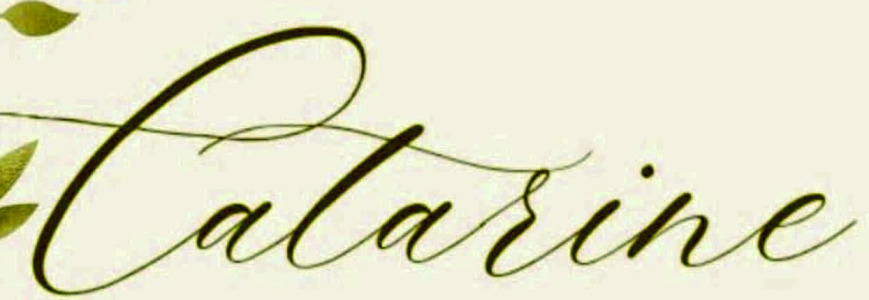 Find font  Font sample to identify the typeface on WhatFontIs