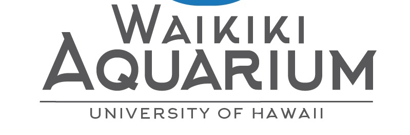 Waikiki  Font sample to identify the typeface on WhatFontIs