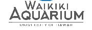 Waikiki  Font sample uploaded by honfire to identify the typeface on WhatFontIs