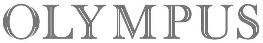 Olympus Font sample to identify the typeface on WhatFontIs