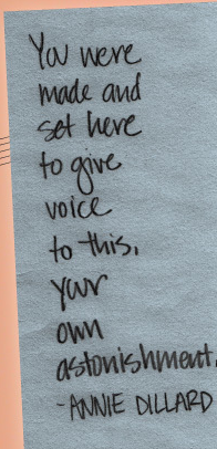 What the font? Font sample to identify the typeface on WhatFontIs