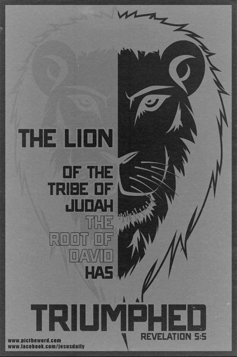 what the font? Font sample to identify the typeface on WhatFontIs