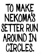 Would anyone know the name of this font? Font sample uploaded by luanlauria to identify the typeface on WhatFontIs